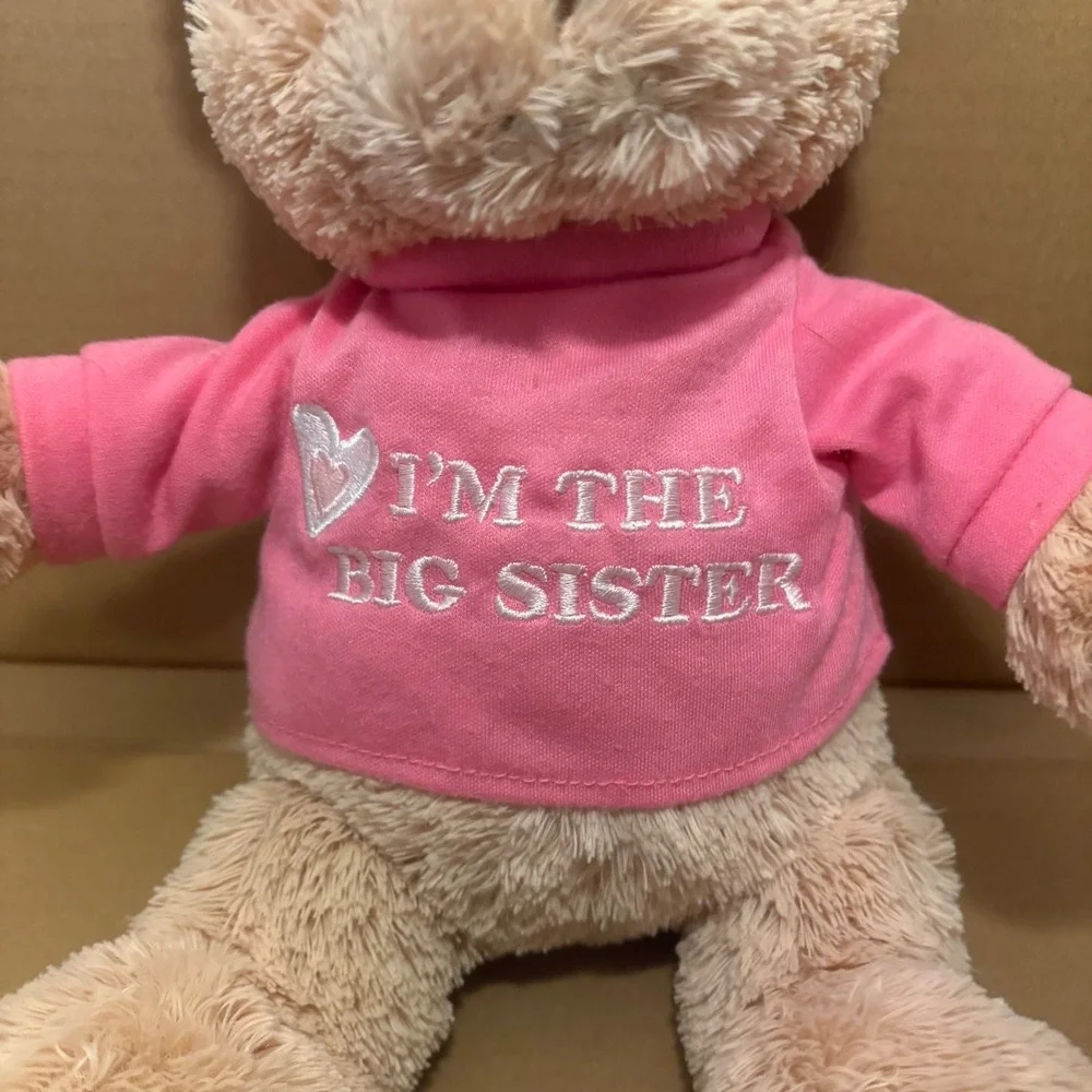 Gund I'm The Big Sister Teddy Bear Plush Stuffed Animal‎ Toy Gift Pink Shirt